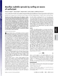 Bacillus Subtilis Spreads by Surfing on Waves of Surfactant