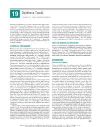 19 Diphtheria Toxoid Tejpratap S.P