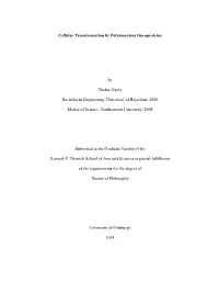 Cellular Transformation by Polyomavirus Oncoproteins By