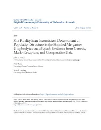 Lophodytes Cucull Atus): Evidence from Genetic, Mark–Recapture, and Comparative Data John M
