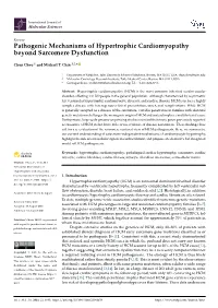 Pathogenic Mechanisms of Hypertrophic Cardiomyopathy Beyond Sarcomere Dysfunction