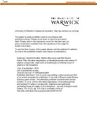 University of Warwick Institutional Repository