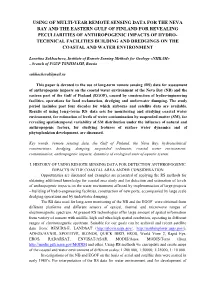 Using of Multi-Year Remote Sensing Data for the Neva