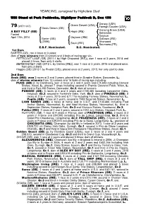 YEARLING, Consigned by Highclere Stud