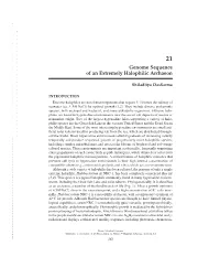 Genome Sequence of an Extremely Halophilic Archaeon