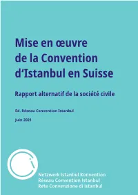 Le Rapport Du Réseau Convention D'istanbul