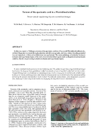Torsion of the Spermatic Cord in a Warmblood Stallion
