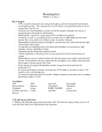 Bioenergetics Module a Anchor 3