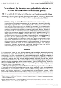 Formation of the Hamster Zona Pellucida in Relation to Ovarian Differentiation and Follicular Growth M