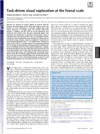 Task-Driven Visual Exploration at the Foveal Scale