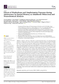 Effects of Mephedrone and Amphetamine Exposure During Adolescence on Spatial Memory in Adulthood: Behavioral and Neurochemical Analysis