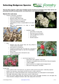 Selecting Hedgerow Species