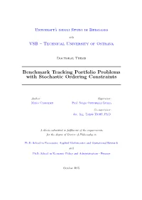Benchmark Tracking Portfolio Problems with Stochastic Ordering Constraints