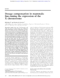 Dosage Compensation in Mammals: Fine-Tuning the Expression of the X Chromosome