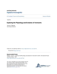 Exploring the Physiology and Evolution of Hornworts