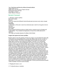 Imaginative Curriculum Design