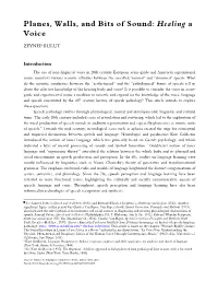 Planes, Walls, and Bits of Sound: Healing a Voice