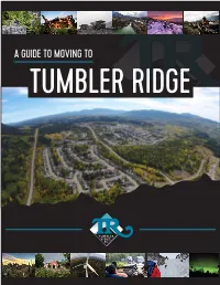A Guide to Moving To