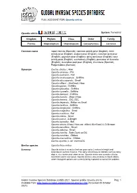 FULL ACCOUNT FOR: Opuntia Stricta Global Invasive Species Database (GISD) 2021. Species Profile Opuntia Stricta. Available From