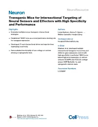 Transgenic Mice for Intersectional Targeting of Neural Sensors and Effectors with High Speciﬁcity and Performance