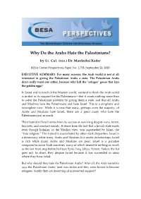Why Do the Arabs Hate the Palestinians?