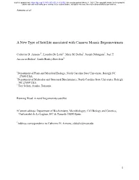 A New Type of Satellite Associated with Cassava Mosaic Begomoviruses