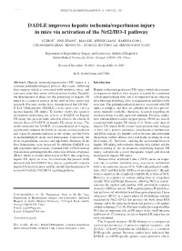 DADLE Improves Hepatic Ischemia/Reperfusion Injury in Mice Via Activation of the Nrf2/HO‑1 Pathway