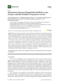 Interactions Between Fungal-Infected Helicoverpa Armigera and the Predator Chrysoperla Externa