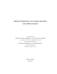 Memory Profiling on Shared-Memory Multiprocessors
