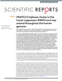 PARTICLE Triplexes Cluster in the Tumor Suppressor WWOX and May Extend Throughout the Human Genome