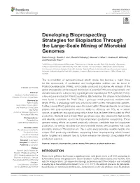 Developing Bioprospecting Strategies for Bioplastics Through the Large-Scale Mining of Microbial Genomes