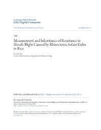Measurement and Inheritance of Resistance to Sheath Blight Caused by Rhizoctonia Solani Kuhn in Rice