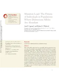 Mutation Load: the Fitness of Individuals in Populations Where Deleterious Alleles Are Abundant