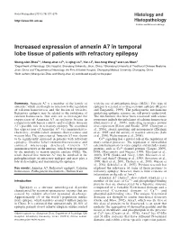 Increased Expression of Annexin A7 in Temporal Lobe Tissue of Patients