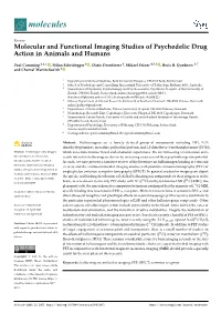 Molecular and Functional Imaging Studies of Psychedelic Drug Action in Animals and Humans