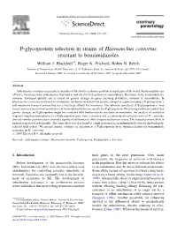 P-Glycoprotein Selection in Strains of Haemonchus Contortus Resistant to Benzimidazoles William J