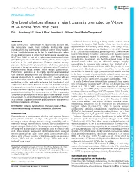Symbiont Photosynthesis in Giant Clams Is Promoted by V-Type H+-Atpase from Host Cells Eric J