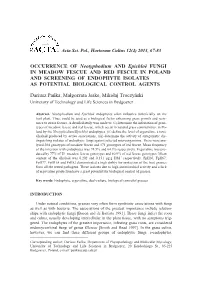 OCCURRENCE of Neotyphodium and Epichloë FUNGI in MEADOW FESCUE and RED FESCUE in POLAND and SCREENING of ENDOPHYTE ISOLATES AS POTENTIAL BIOLOGICAL CONTROL AGENTS