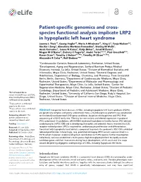 Species Functional Analysis Implicate LRP2 in Hypoplastic Left Heart