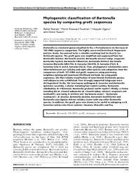 Phylogenetic Classification of Bartonella Species by Comparing
