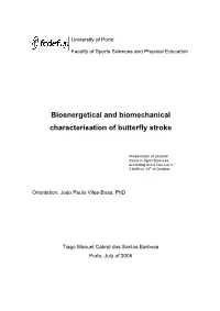 Bioenergetical and Biomechanical Characterisation of Butterfly Stroke