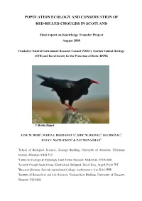 Chough Research Report