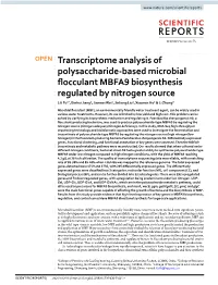 Transcriptome Analysis of Polysaccharide-Based Microbial Flocculant MBFA9 Biosynthesis Regulated by Nitrogen Source