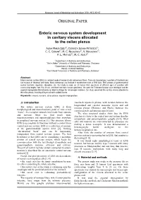 Download PDF Enteric Nervous System Development in Cavitary