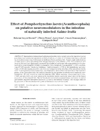 Effect of Pomphorhynchus Laevis (Acanthocephala) on Putative Neuromodulators in the Intestine of Naturally Infected Salmo Trutta