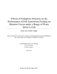 Effects of Endophyte Infection on the Performance of Fall Armyworm Feeding on Meadow Fescue Under a Range of Water Stress Levels Siow Yan Jennifer Angoh