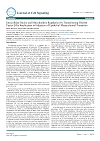 Intracellular Redox and Mitochondria Regulation by Transforming Growth Factor-Β-Its Implication in Induction of Epithelial-Mese