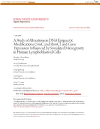 A Study of Alterations in DNA Epigenetic Modifications (5Mc and 5Hmc) and Gene Expression Influenced by Simulated Microgravity I