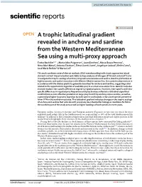 A Trophic Latitudinal Gradient Revealed in Anchovy and Sardine