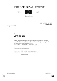 Definitieve Verslag